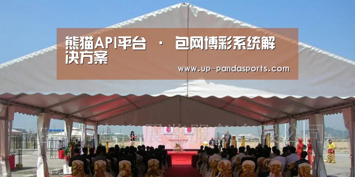 案例标题三