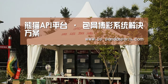 案例标题五