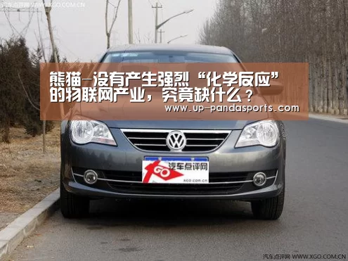 熊猫体育官网