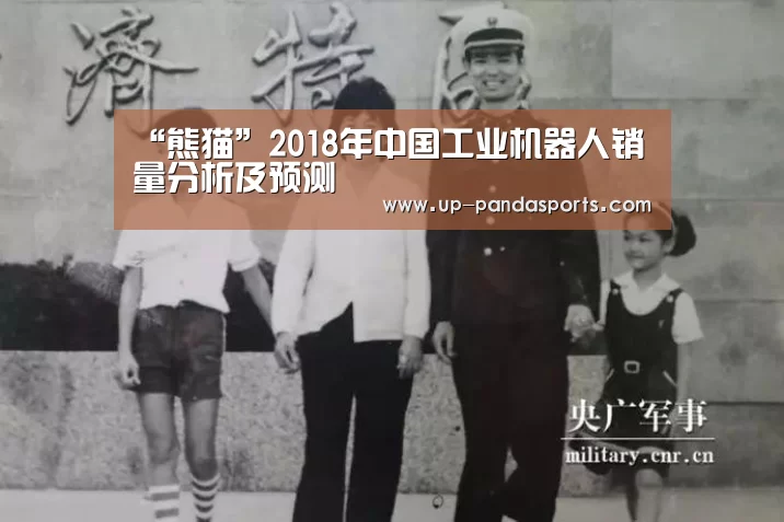 “熊猫”2018年中国工业机器人销量分析及预测(图1) 熊猫体育