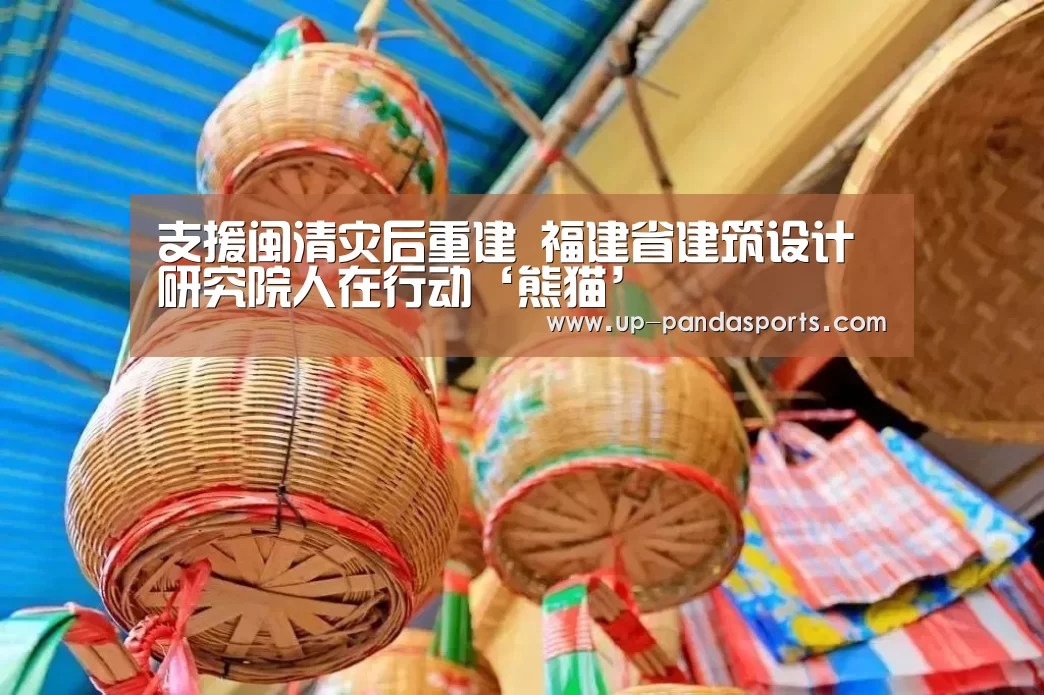 支援闽清灾后重建 福建省建筑设计研究院人在行动‘熊猫’(图1) 熊猫