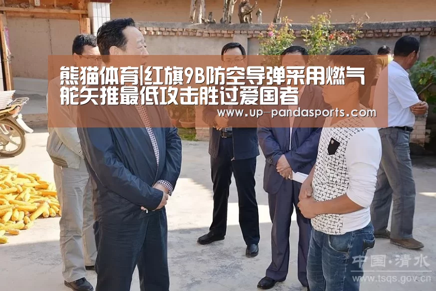 熊猫体育平台