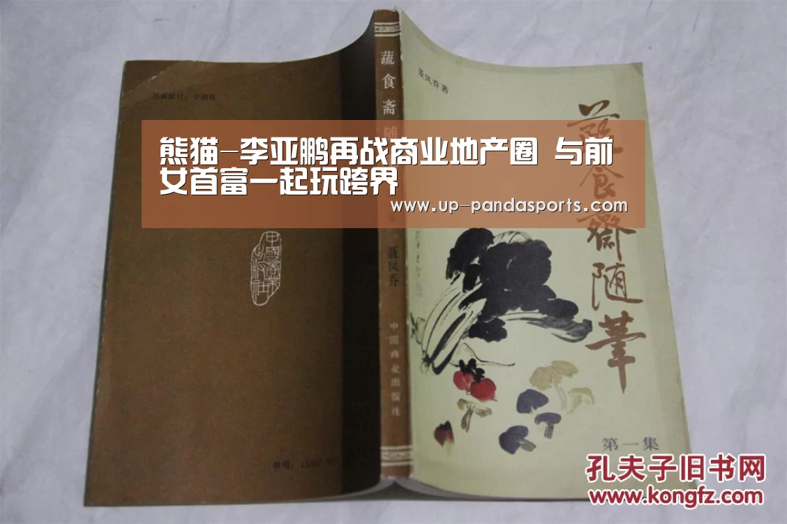 熊猫-李亚鹏再战商业地产圈 与前女首富一起玩跨界(图2) 熊猫体育