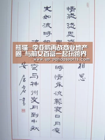 熊猫-李亚鹏再战商业地产圈 与前女首富一起玩跨界(图1) 熊猫体育官网
