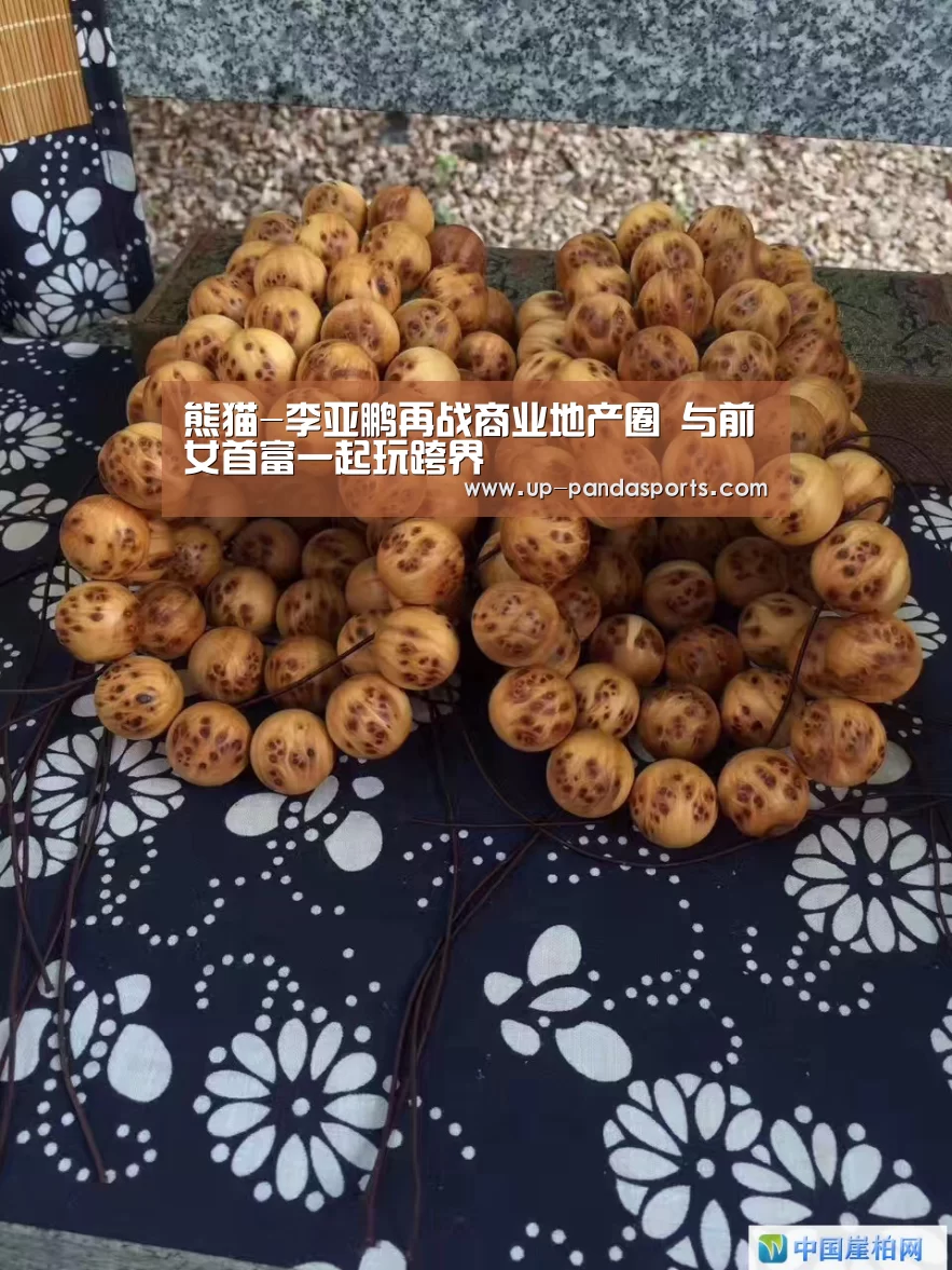 熊猫-李亚鹏再战商业地产圈 与前女首富一起玩跨界(图3) 熊猫体育平台