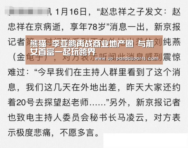 熊猫-李亚鹏再战商业地产圈 与前女首富一起玩跨界(图4) 熊猫