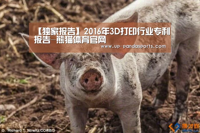 【独家报告】2016年3D打印行业专利报告-熊猫体育官网(图1) 熊猫体育官网
