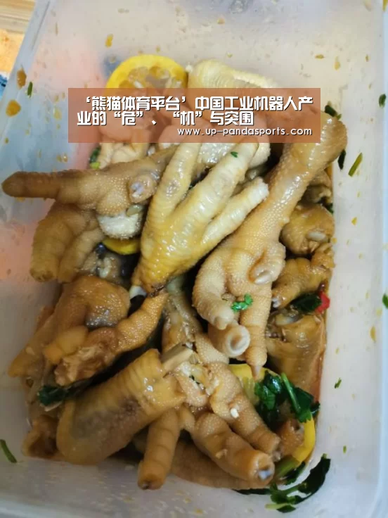 熊猫体育