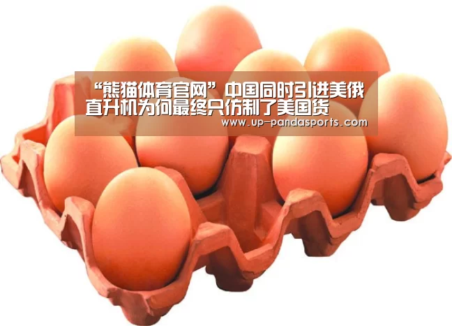 “熊猫体育官网”中国同时引进美俄直升机为何最终只仿制了美国货(图2) 熊猫