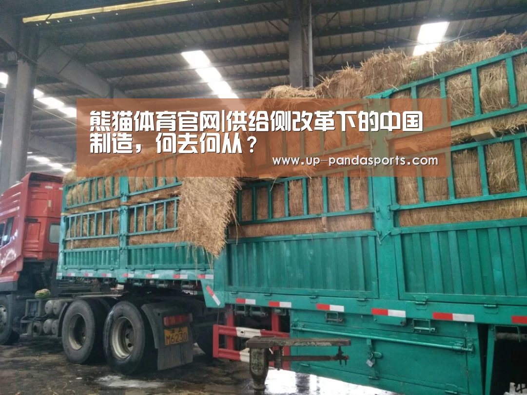 熊猫体育官网|供给侧改革下的中国制造,何去何从?(图2) 熊猫体育平台