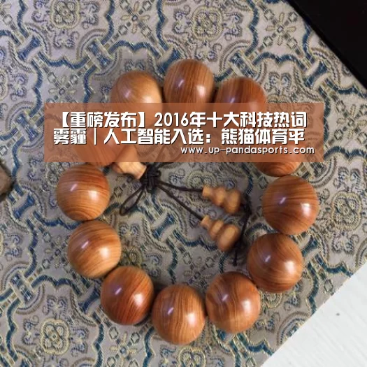 【重磅发布】2016年十大科技热词 雾霾|人工智能入选:熊猫体育平台(图2) 熊猫体育官网