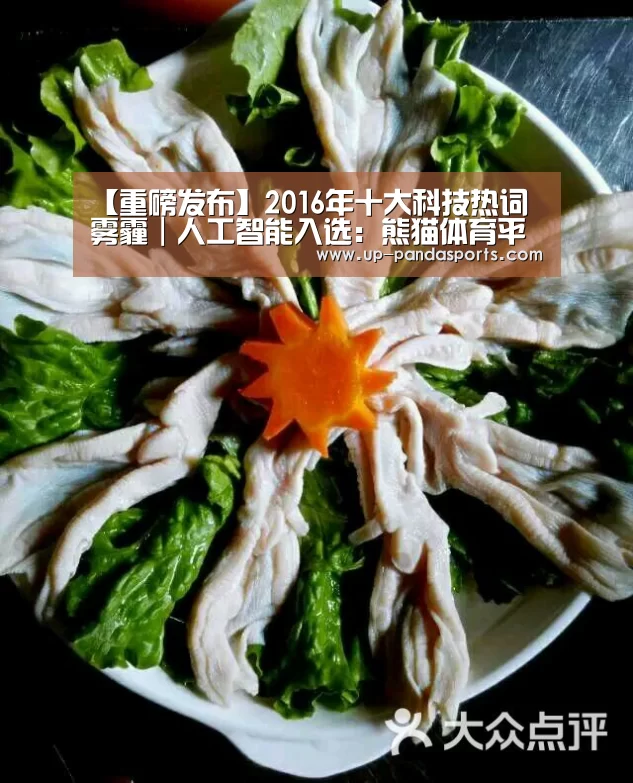 【重磅发布】2016年十大科技热词 雾霾｜人工智能入选：熊猫体育平台