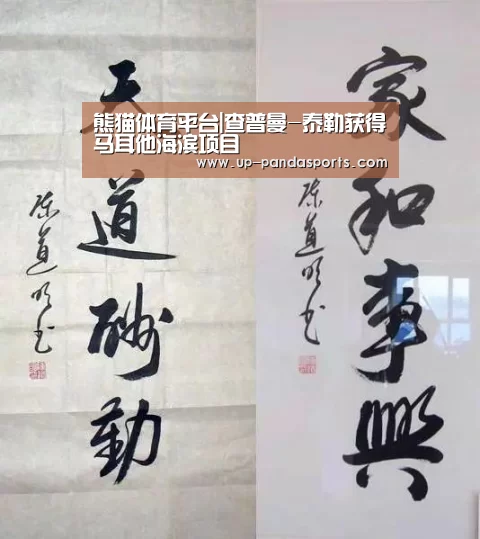 熊猫体育平台