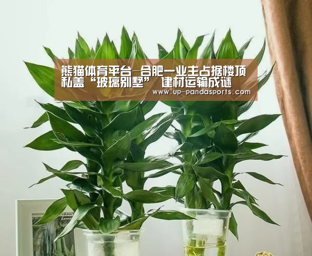 熊猫