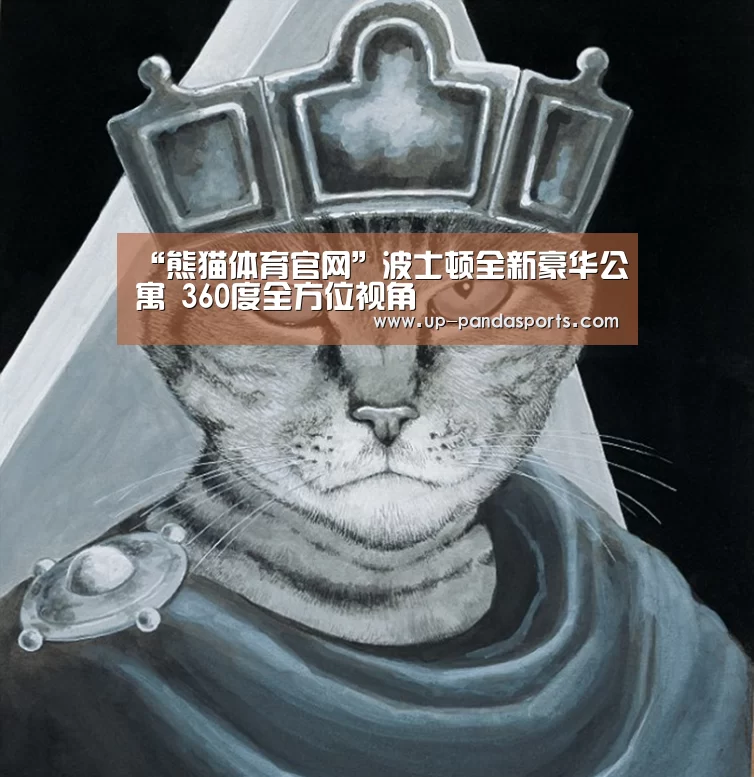 “熊猫体育官网”波士顿全新豪华公寓 360度全方位视角(图4) 熊猫